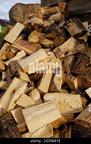 large stack of split firewood Stock Photo