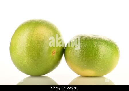 Two organic bright green Citrus Sweetie, close-up, isolated on white background. Stock Photo