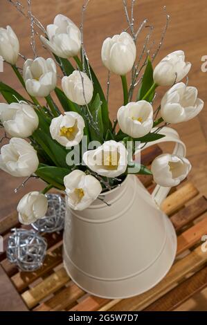 white Tulips (Tulipa) with decorative Silver Birch Stems in a cream metal jug vase on a small wooden slatted side table in a Christmas home setting Stock Photo