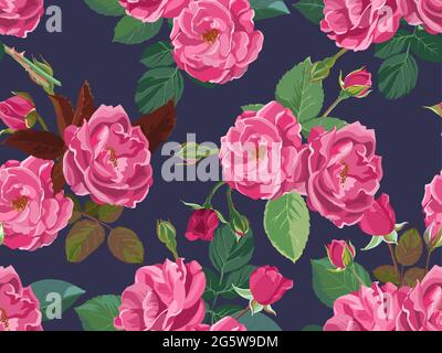 Summer and spring foliage and blooming pink roses Stock Vector