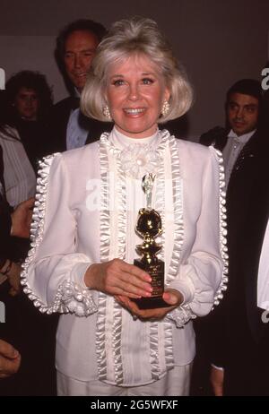 Doris Day at the 46th Annual Golden Globe Awards, 1989 File Reference ...