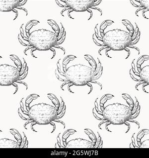 Vintage seamless pattern with hand drawn crabs in sketch engraving style. Sea food print for textile and wrapping paper. Stock Vector