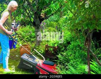 Fortuneswell. 30th June 2021. UK Weather. Sandra, 68, gets a head start on her gardening chores, mowing the lawn in her Fortuneswell garden in the early morning sunshine. Credit: stuart fretwell/Alamy Live News Stock Photo