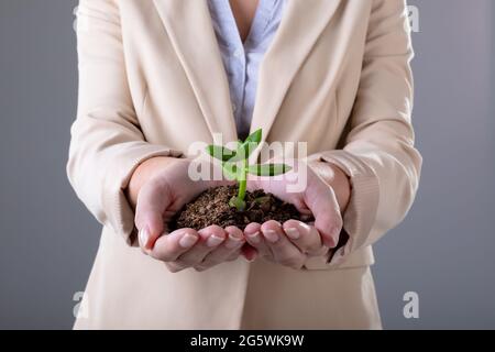 Midsection of caucasian businesswoman holding plant seedling, isolated on grey background Stock Photo