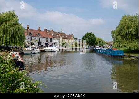 Narrowboats moored on the River Great Ouse at Ely Cambridgeshire UK in summer Stock Photo