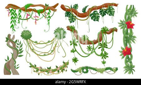 Jungle vines. Tropical tree branches with hanging liana ropes, green moss, exotic plant leaves and flower. Rainforest flora, vine vector set Stock Vector