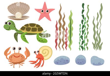 Set of sea objects: turtle, starfish, plants, stones, algae and bubbles. Underwater world. Aquarium or sea. Summer water. Illustration in cartoon Stock Vector