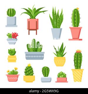 Cactus and succulents. Cute cartoon cacti in pots. Mexican exotic home plant with spines and flowers. Decorative garden succulent vector set Stock Vector