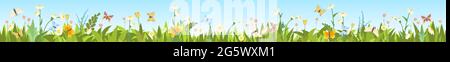 Meadow with wildflowers and butterflies. Seamless illustration. Grass close-up. Green landscape. Summer sky. Cartoon style. Flat design. Flowers Stock Vector