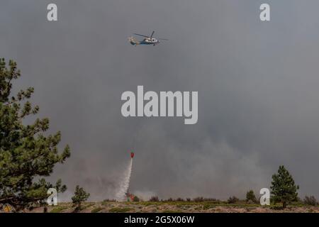 Weed, California, USA. 29th June, 2021. A helicopter releases water from its bucket at the Lava Fire. Credit: Jungho Kim/ZUMA Wire/Alamy Live News Stock Photo
