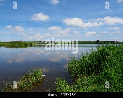 Clouds reflected in the water at Upper Tamar Lake, Devon, UK Stock Photo