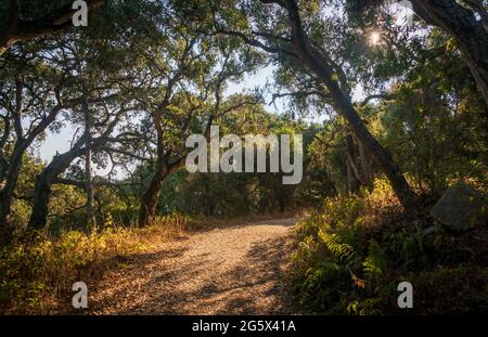 Garland Ranch Regional Park in Carmel Stock Photo