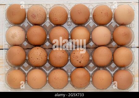 Plan view of 24 brown eggs in a clear plastic carton on a white wooden panelled,rustic background. Stock Photo