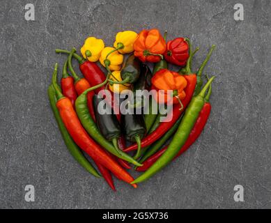 Plan view of assorted chilli peppers on grey background. Stock Photo