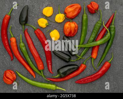 Plan view of assorted chilli peppers on grey background. Stock Photo