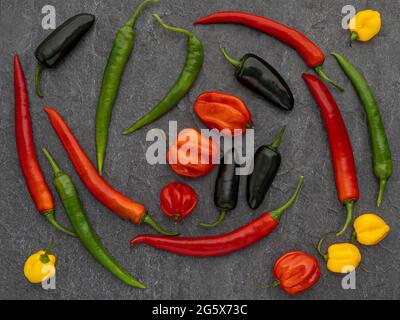 Plan view of assorted chilli peppers on grey background. Stock Photo