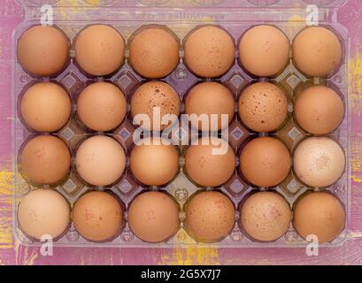 Plan view of 24 brown eggs in a clear plastic carton on a pink and yellow wooden background. Stock Photo