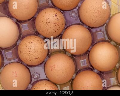 Plan view of brown eggs in a clear plastic carton on a pink and yellow wooden background. Stock Photo
