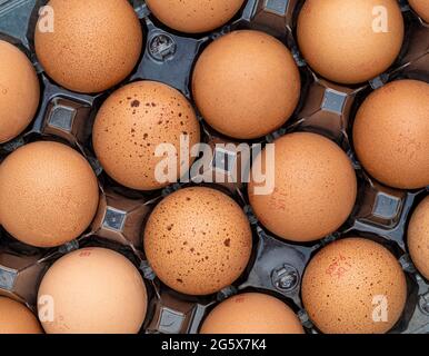 Plan view of brown eggs in a clear plastic carton on a grey background. Stock Photo