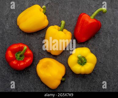 Plan view of red and yellow bell peppers on a grey textured background. Stock Photo