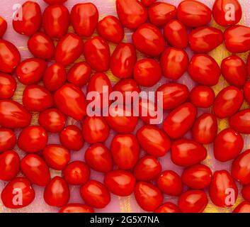 Plan view of small plum tomatoes on a pink and yellow rustic background. Stock Photo