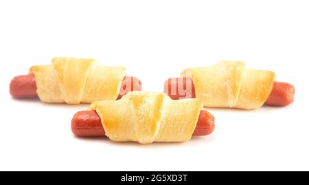 American Pigs in the Blank Isolated on a White Background Stock Photo