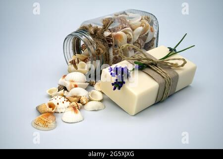 Cosmetic products made from natural ingredients with seashells in the background Stock Photo