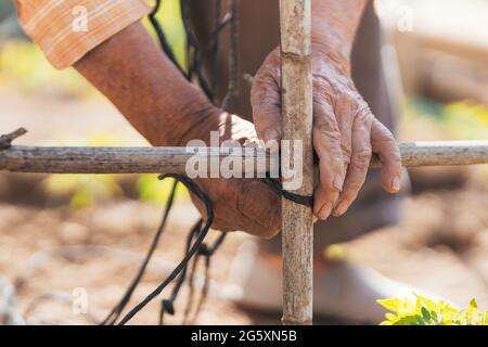 detail view of man's hands working in the field. Selective focus. Stock Photo