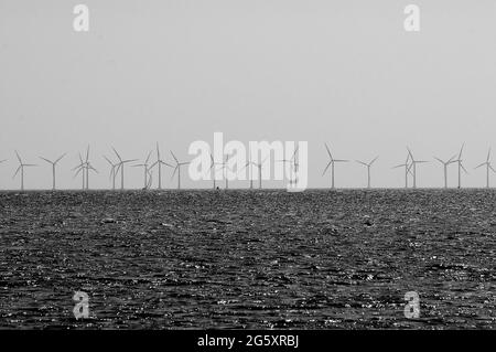 Copenhagen / Denmark - 12 May 2017. . Wind turbines park in oresund sea and animal life  too.     Photo Francis Dean/Deanpictures. Stock Photo