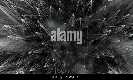 Smooth technological surface like dandelion. Plexus style connecting lines and dots Stock Photo