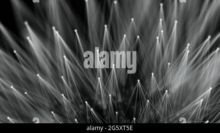Smooth technological surface like dandelion. Plexus style connecting lines and dots Stock Photo