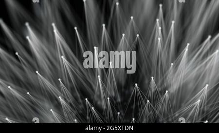 Smooth technological surface like dandelion. Plexus style connecting lines and dots. Stock Photo