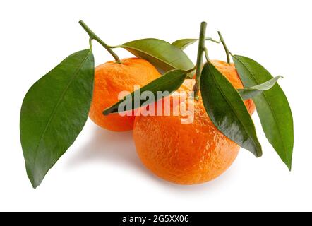 tangerine path isolated on white Stock Photo