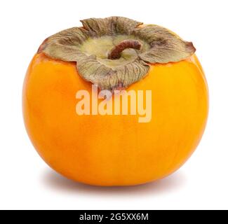 persimmon path isolated on white Stock Photo