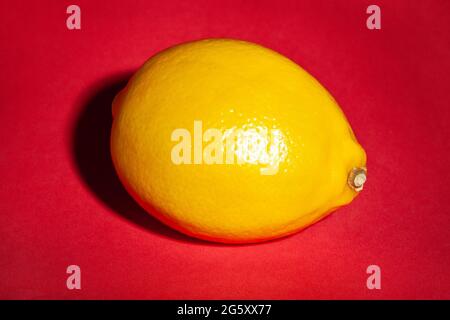 single lemon on red background Stock Photo