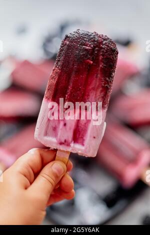 Close up on kid's hand holding colorful blueberry fruit popsicle. Healthy summer snack concept. Stock Photo