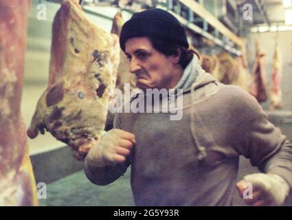 Sylvester Stallone, Half-Length Portrait, on-set of the Film, 'Rocky', United Artists, 1976 Stock Photo