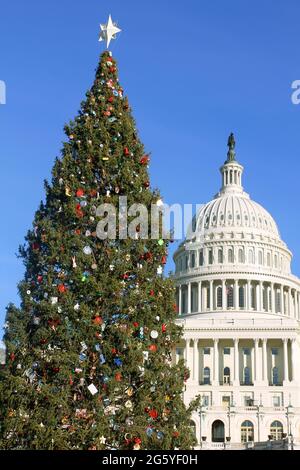 The Capitol Christmas Tree stands in front of the U.S. Capitol. Stock Photo