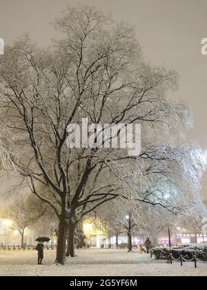 A person stands under a tree covered in snow. Stock Photo