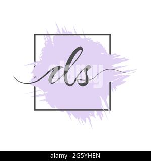 calligraphic lowercase letters DS are written in a solid line on a colored background in a frame. Vector illustration. Simple Style Stock Vector
