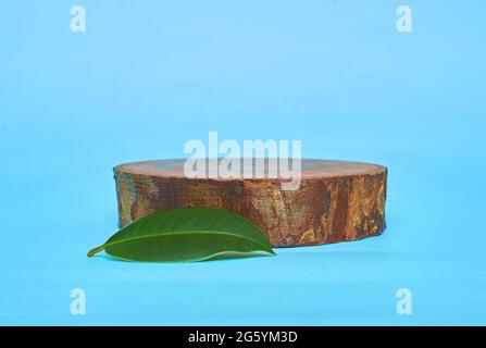 A green ficus leaf and a wooden stand on a blue background Stock Photo