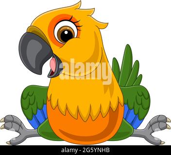 Cartoon funny macaw sitting on white background Stock Vector