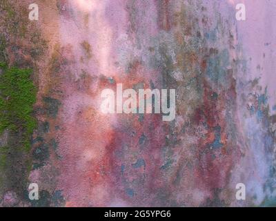 Incredible colored wall in Rome. Weathered grunge concrete painted with a color between purple and pink. There is moss growing on it. The sun is paint Stock Photo