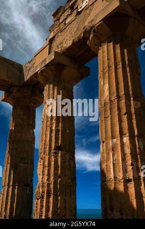 Bright Mediterranean sunshine highlights patches of original stucco or plaster on the pitted stonework of fluted Doric columns and capitals of the reconstructed colonnade of the Temple of Hera or Temple E amid the ruins of the ancient Greek city and port of Selinus or Selinous at Selinunte at Selinunte in southwest Sicily, Italy.  Although the temple probably collapsed in earthquakes after Selinus was abandoned, it was reconstructed in 1958 using the original materials. Stock Photo