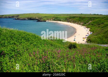 Whistling Sands beach seen from the Coastal Footpath in Summer 2021, Porth Oer, Gwynedd, North Wales, UK, Europe Stock Photo