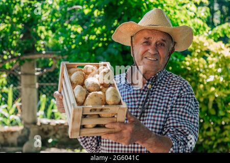 senior with box of potatoes from the harvest of the orchard Stock Photo