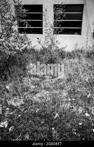 Abandoned warehouse, Conceptual photography, France Stock Photo