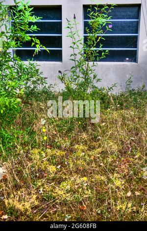 Abandoned warehouse, Conceptual photography, France Stock Photo