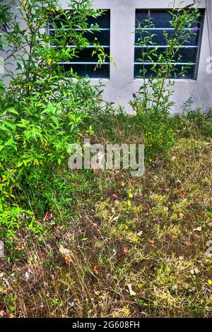 Abandoned warehouse, Conceptual photography, France Stock Photo