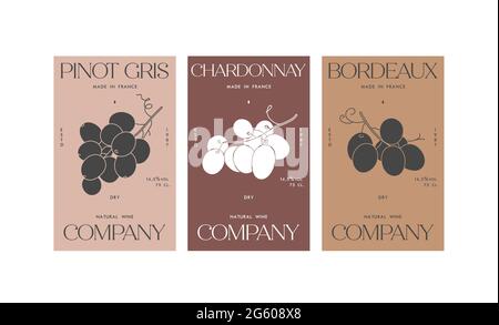 Vector set illustartion design labels for wine. Minimalistic and modern design with grape branch Stock Vector